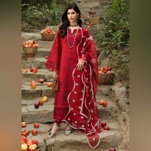 Pakistani Indian dress